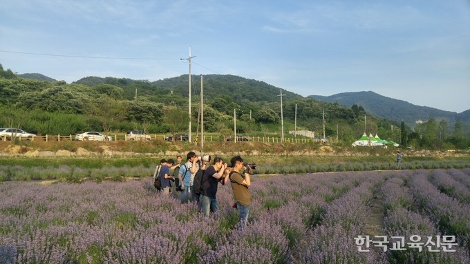 모델 사진을 찍고 있는 사진 메니아들 