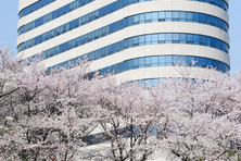 영유아보육법 개정안 전면 재검토해야