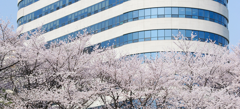 영유아보육법 개정안 전면 재검토해야