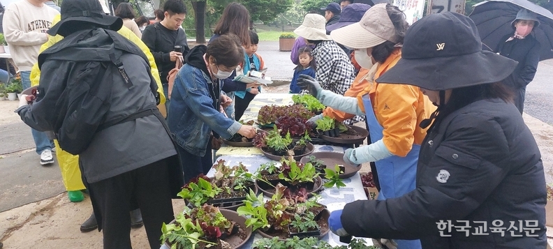 세대 당 상추, 고추, 토마토 모종 15개를 배부했다. 