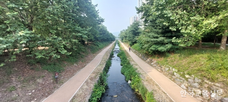 맨발길 바로 옆에는 서호천이 흐르고 있다.