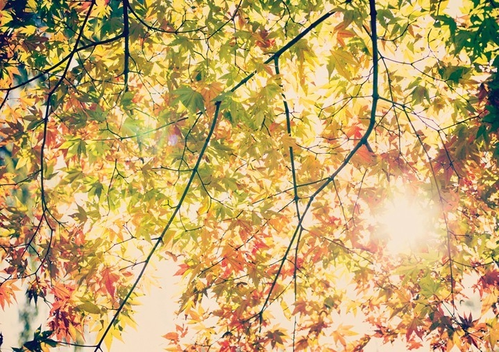 [박남기 칼럼] 교육 미장센