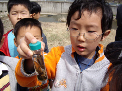 하천체험에 나선 양수초 학생들이 채집한 수생곤충을 살펴보고 있다.