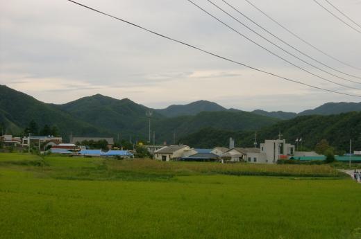 김유정문학촌 안에 있는 김유정 동상(왼쪽). 춘천시 신동면 증리. ‘동백꽃’의 작가 김유정의 고향이며 그의 소설의 배경인 실레마을이다.