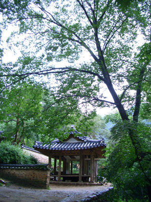 담양 답사에서 빼놓을 수 없는 곳이 소쇄원. 소쇄원은 양산보가 은사인 정암 조광조가 기묘사화에 연루되어 능주로 유배됐다가 세상을 떠나게 되자 출세의 뜻을 버리고 자연 속에서 은둔하며 살기 위해 꾸민 원림(園林)이다.