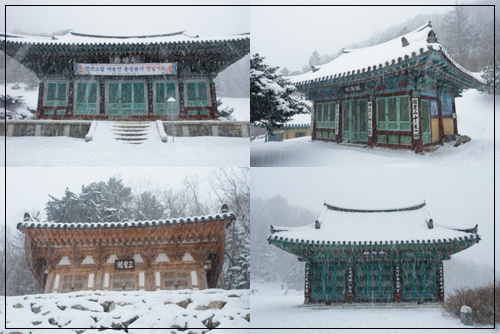 ▲ 백련사 풍경 2