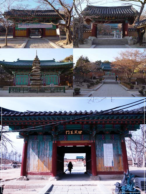▲ 산불 피해를 입기 3개월 전의 사천왕문ㆍ조계문ㆍ대성문ㆍ칠층석탑(보물 제499호)과 원통보전(강원도유형문화재 제39호), 주변의 전각들이 모두 사라진 현재의 사천왕문
