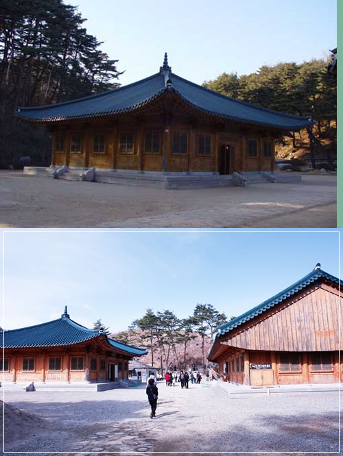 ▲ 산불 피해를 입기 3개월 전과 현재의 의상기념관 주변 풍경