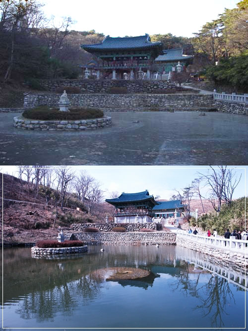 ▲ 산불 피해를 입기 3개월 전과 현재의 보타각 주변 풍경