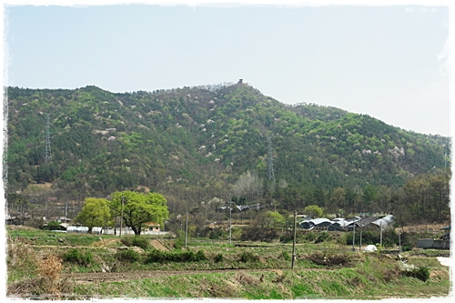 ▲ 학교 운동장에서 보이는 양성산과 팔각정