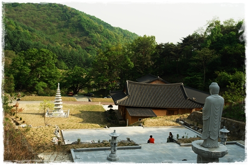 ▲ 보살사 직지선원 풍경 1