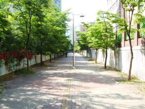 길은 어디에도 있다. 그러나 어떤 길을 선택하는 가는 행인에게 달렸다. 인생길도 마찬가지가 아닐까.