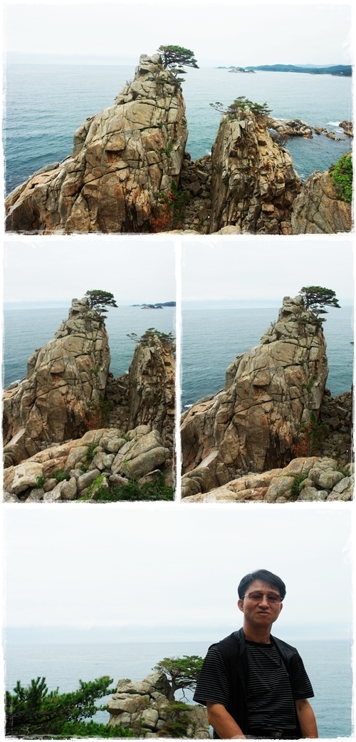 ▲ 정자 앞에 있는 기암괴석과 천년송