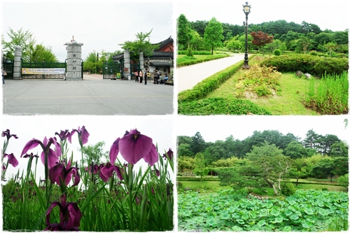 ▲ 오죽헌 입구 풍경