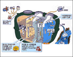 합병정화조 설명도