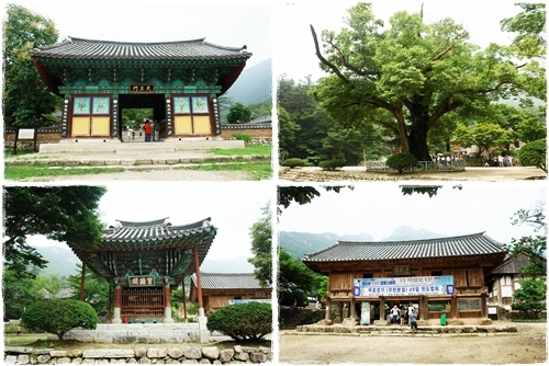 ▲ 시계방향으로 사천왕문, 느티나무, 봉래루, 보종각