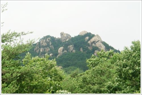 멀리 보이는 속리산 정상 부근