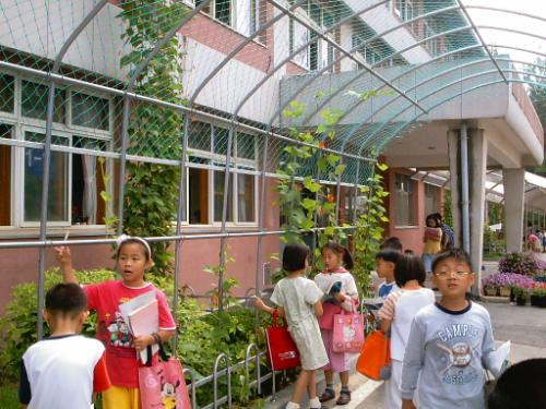 또레와 함께 하는 학교 생활이 정상아동 길러