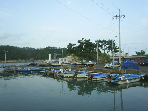 황학대 전경