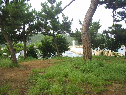 황학대에 올라
