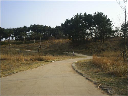 구지봉 가는 길