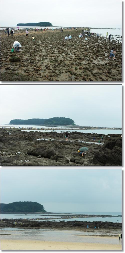 ▲ 석대도까지 신비의 바닷길이 열렸다