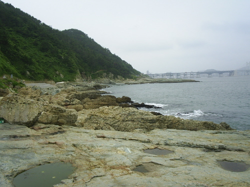 공룡발자국