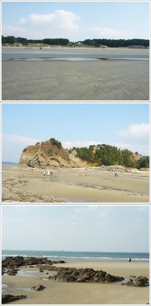 ▲ 송림과 넓은 백사장이 어우러지는 삼봉해수욕장