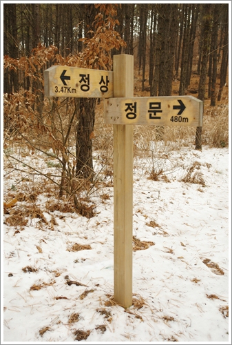 ▲ 홀로 등산로를 지키고 있는 이정표