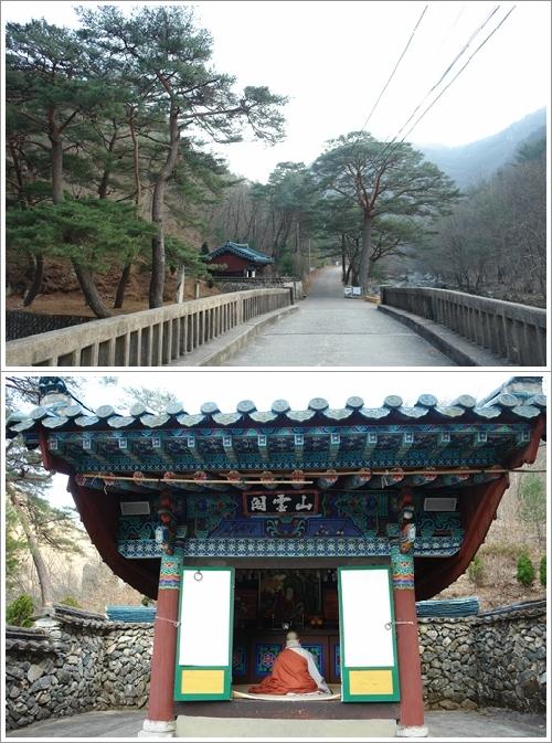 ▲ 노송이 아름다운 심성교 주변 풍경