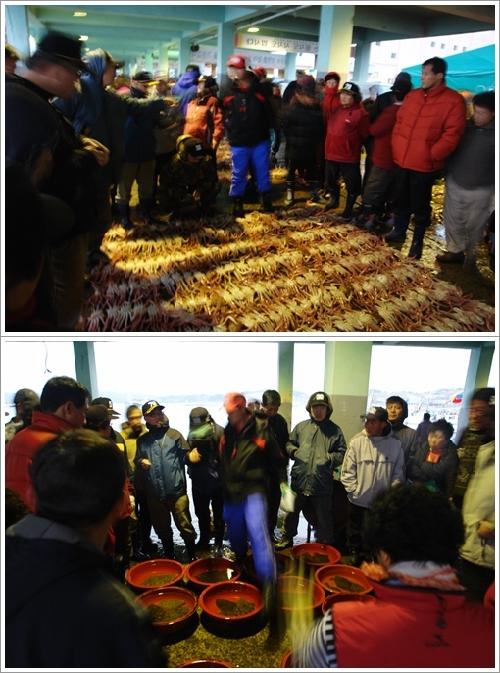 ▲ 대게, 광어 등의 해산물이 경매를 통해 새로운 주인을 만난다