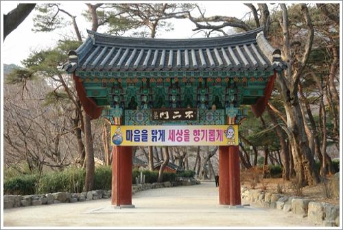 ▲ 입구의 불이문 주변에도 멋진 소나무 숲이 있다