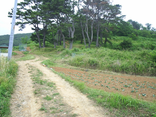 왜성 입구