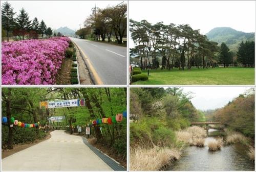 ▲ 법주사 가는 길의 멋진 풍경