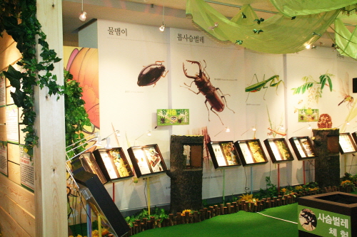 곤충과학전 전시회