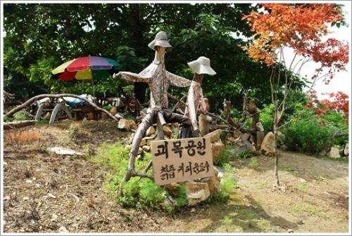▲ 괴목공원 풍경 1