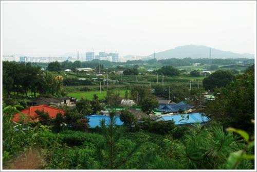 ▲ 마을 뒷산에서 보이는 신도심 주거 및 상업 복합타운 공사현장과 부모산