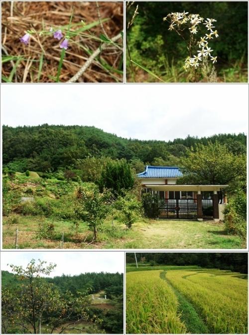 ▲ 마산동산성 가는 길