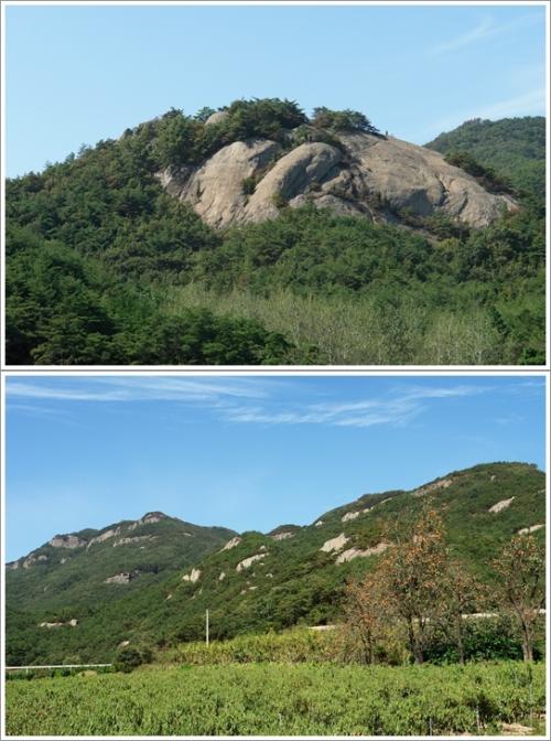▲ 운호마을 뒷산 풍경