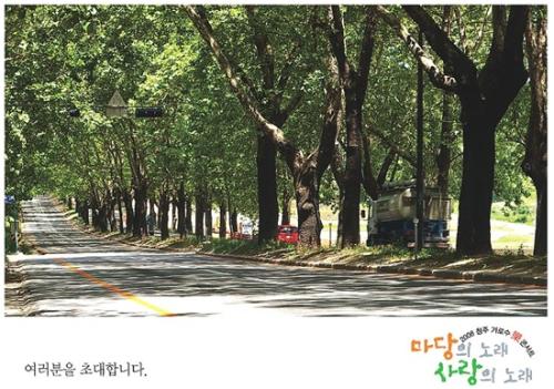 ▲ 청주의 명물 플라타너스 가로수길
