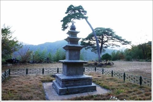 ▲ 삼층석탑 앞의 도인송과 미인송