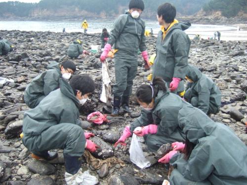 태안반도 봉사활동