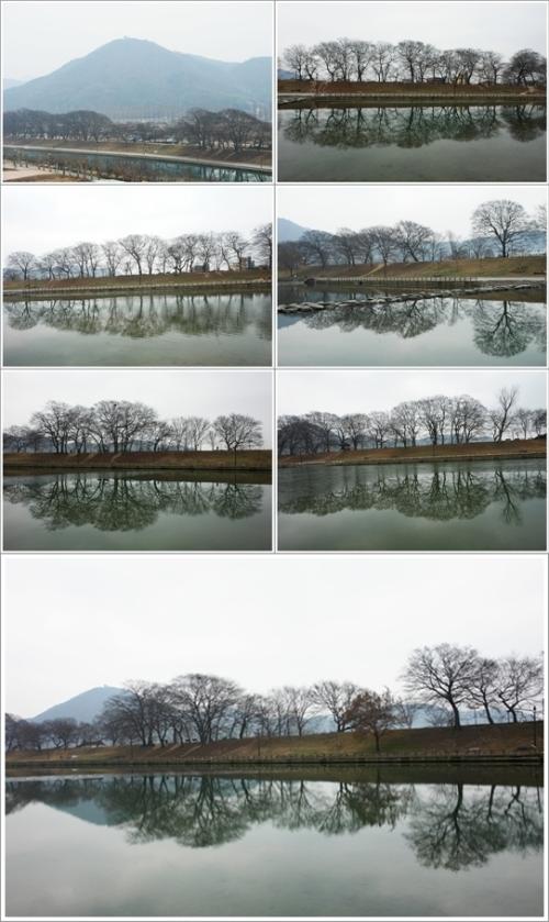 ▲ 관방제림 풍경