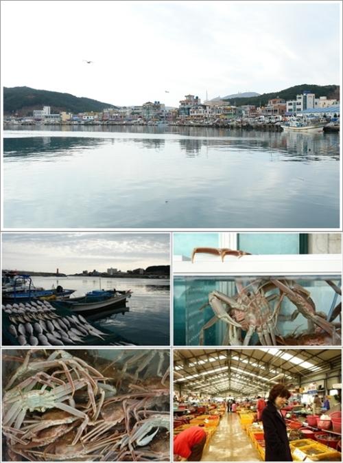 ▲ 정자항 풍경