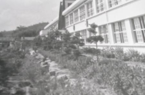 1973년 모습
