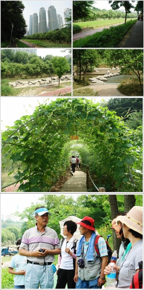 ▲ 양재천 풍경과 자연하천이 제일 좋다는 무심천 모니터링 단장 연규방 교수