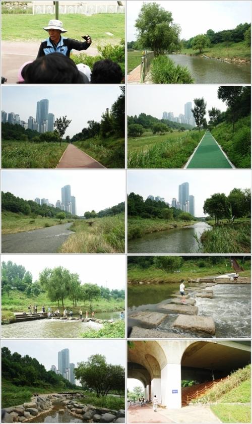 ▲ 양재천 풍경