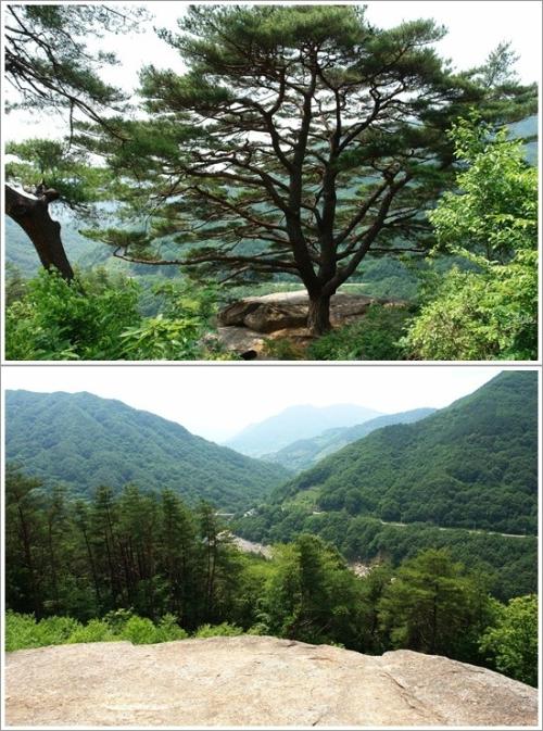 ▲마적송과 세진대에서 바라본 풍경