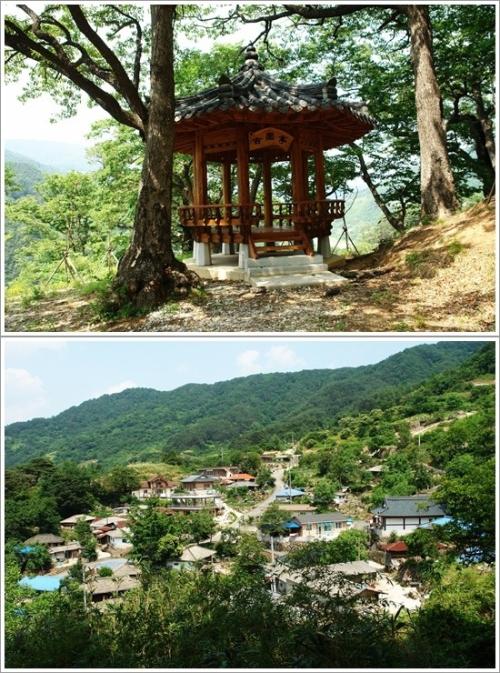 ▲고원정과 정자에서 보이는 마을 풍경
