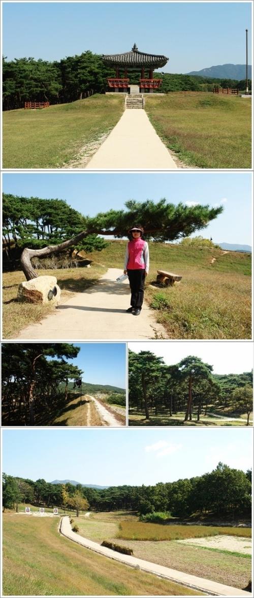 ▲ 청허정 주변 풍경